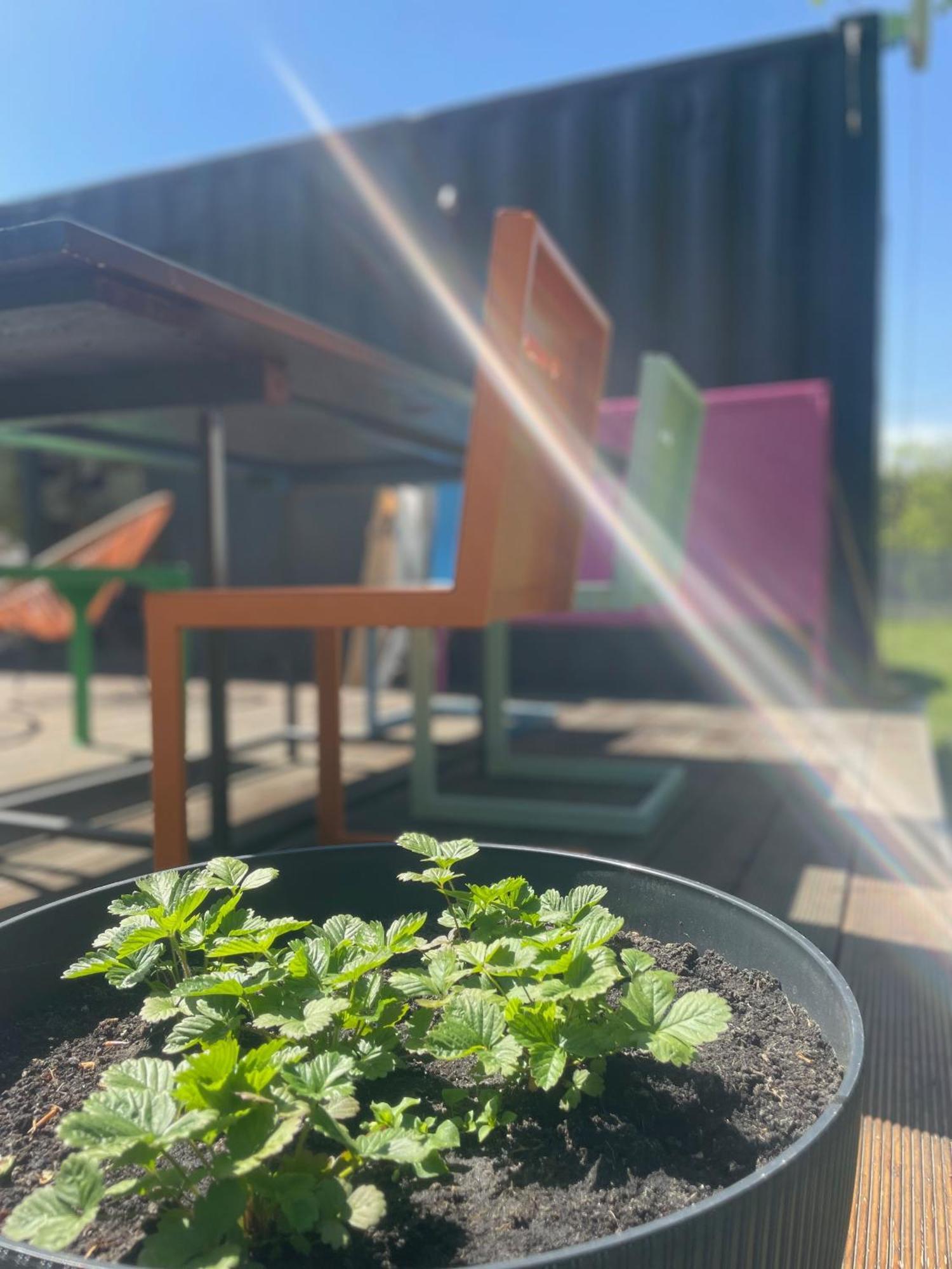 Kontener Nad Rzeka Holiday home Grabie